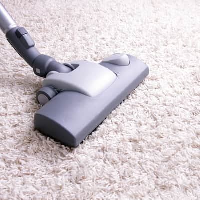 Clean Vomit Out of Carpet