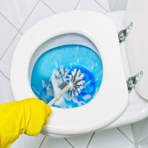 Dirty Toilet Bowl Cleaning Tips